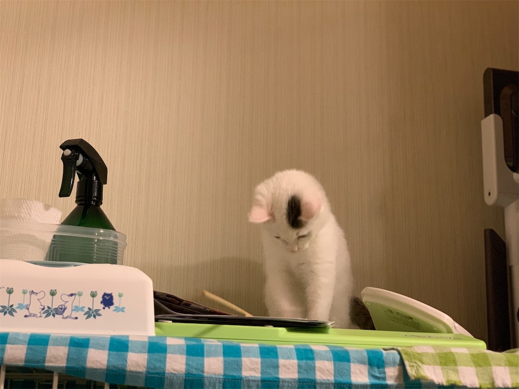 f:id:akiyochan15:20200322000648j:image