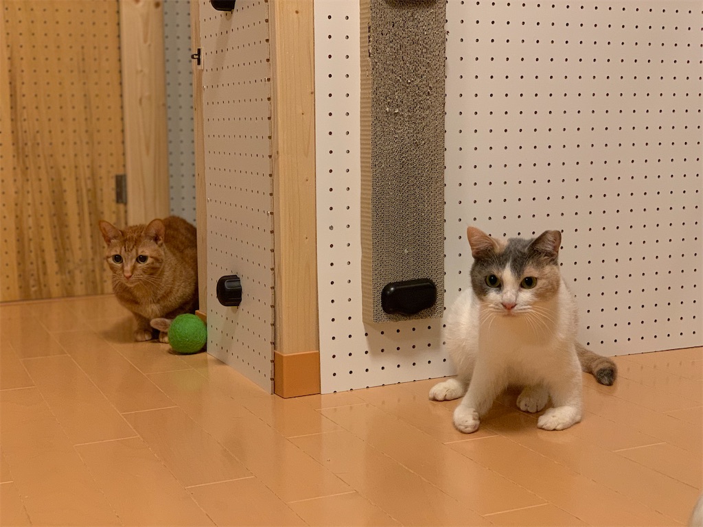 f:id:akiyochan15:20200414014436j:image