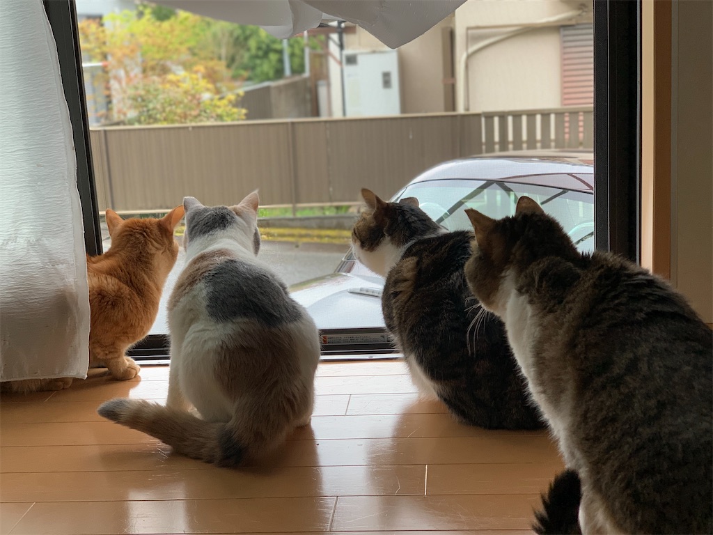 f:id:akiyochan15:20200501152948j:image