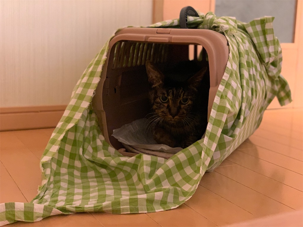 f:id:akiyochan15:20210516013653j:image