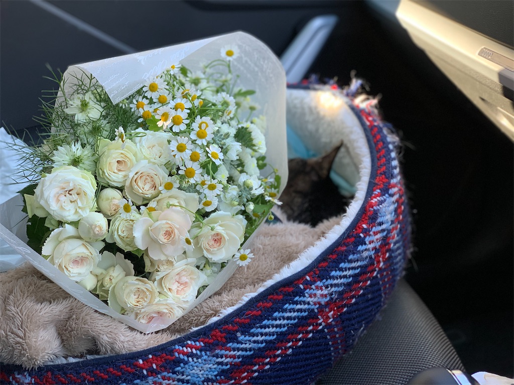 f:id:akiyochan15:20210516013749j:image