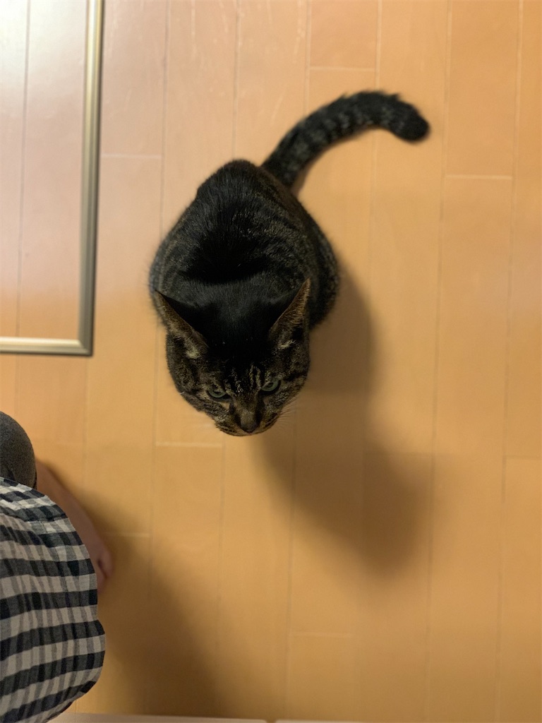 f:id:akiyochan15:20210516013852j:image