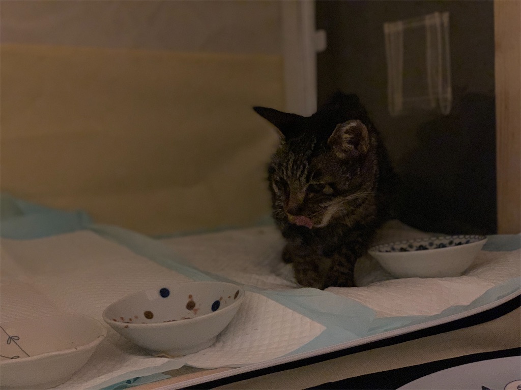 f:id:akiyochan15:20210516014615j:image