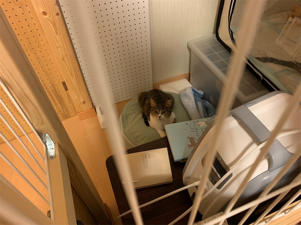 f:id:akiyochan15:20210516014739j:image