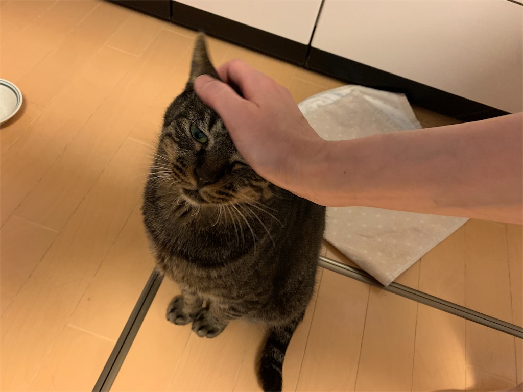 f:id:akiyochan15:20210517222500j:image