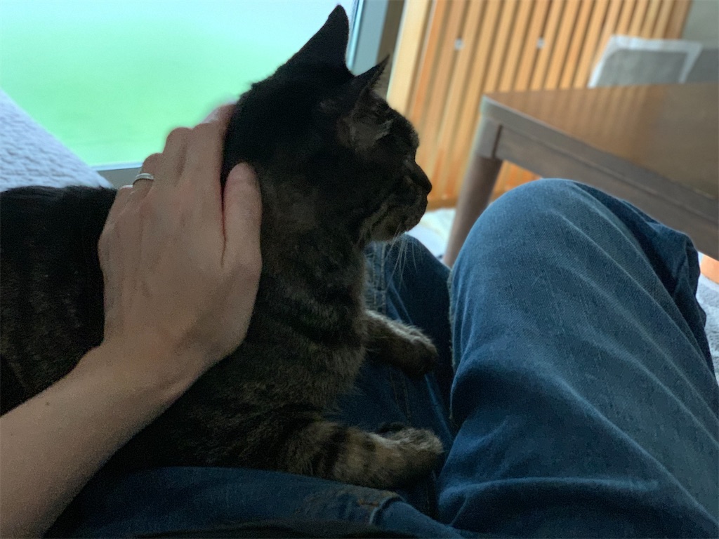 f:id:akiyochan15:20210517222506j:image