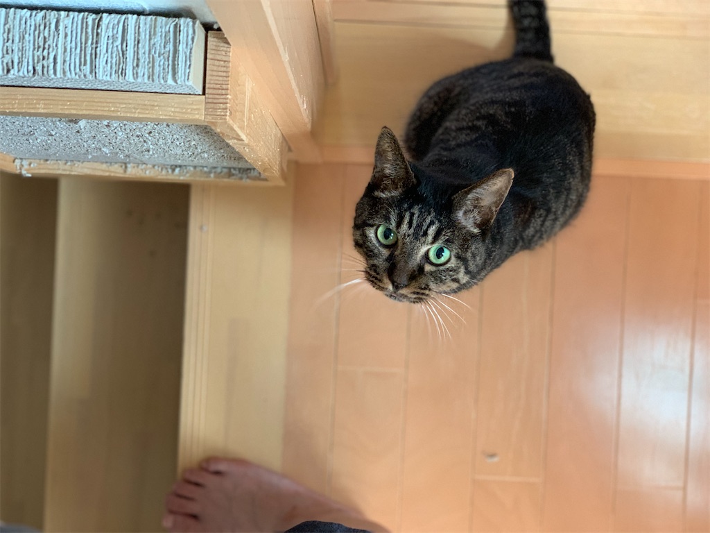 f:id:akiyochan15:20210517222524j:image