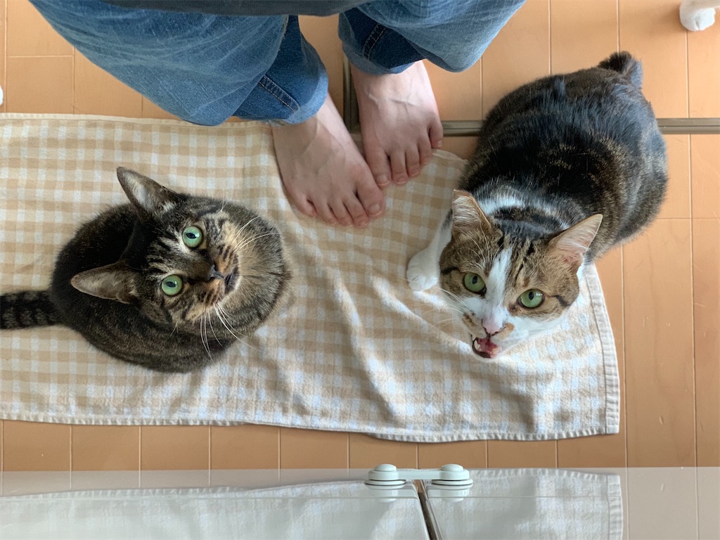 f:id:akiyochan15:20210517222527j:image