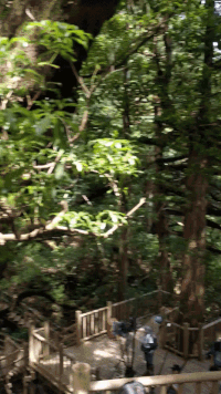 f:id:akiyoko:20171106030010g:plain