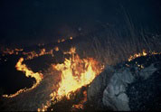 f:id:akiyoshidai:20130101114205j:image