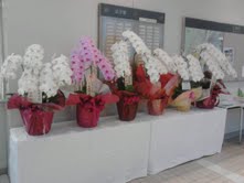 f:id:akiyotake:20121206222735j:image:w360 f:id:akiyotake:20121206222735j:image:w360