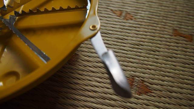 f:id:akiz-looms:20200713125341j:plain f:id:akiz-looms:20200713125341j:plain
