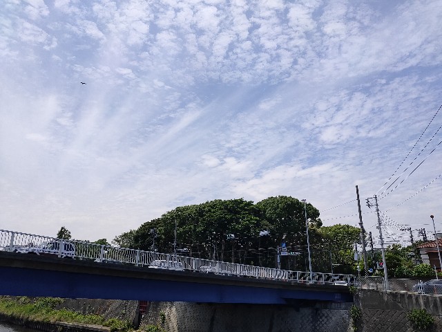 f:id:akiz-looms:20210618155045j:image