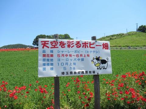 イメージ 15