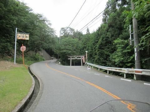 イメージ 7