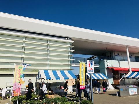 イメージ 31