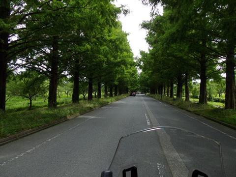 イメージ 30