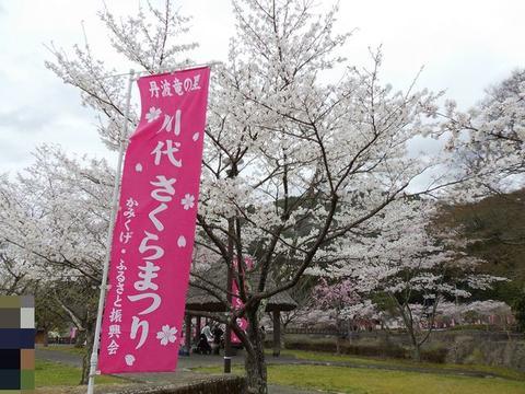 イメージ 7