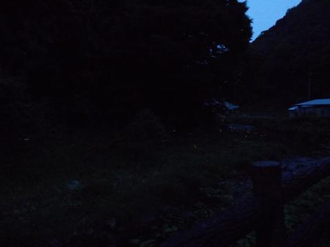 イメージ 12