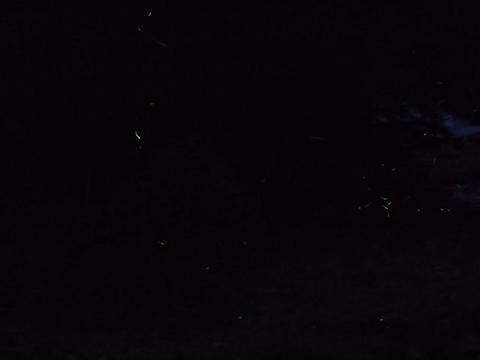 イメージ 13