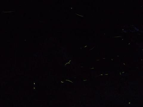 イメージ 14