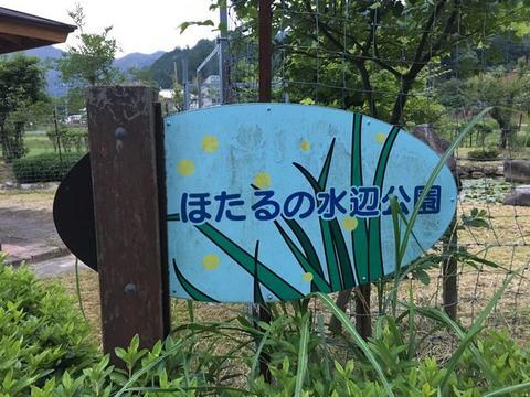 イメージ 8
