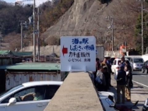 イメージ 15