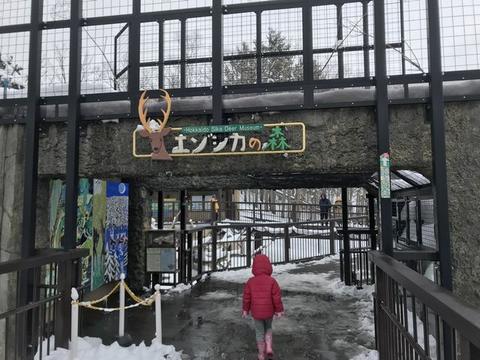 イメージ 29