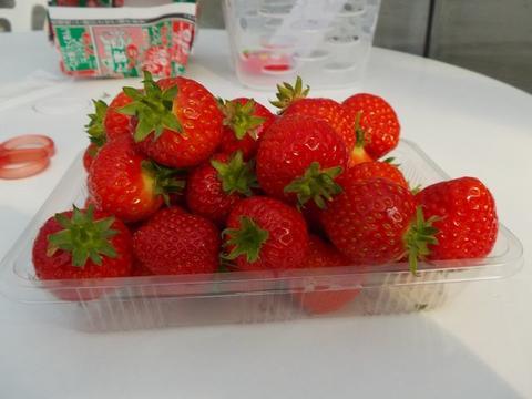 イメージ 12