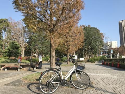 イメージ 15