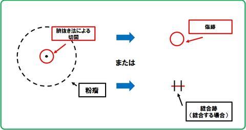 イメージ 16