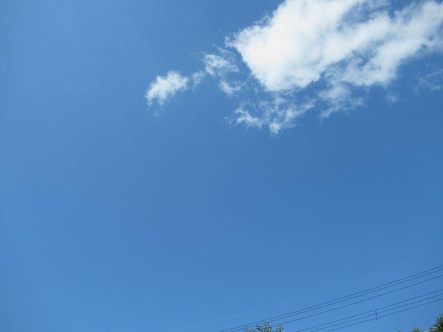 f:id:akizo_da:20190919211039j:plain f:id:akizo_da:20190919211039j:plain