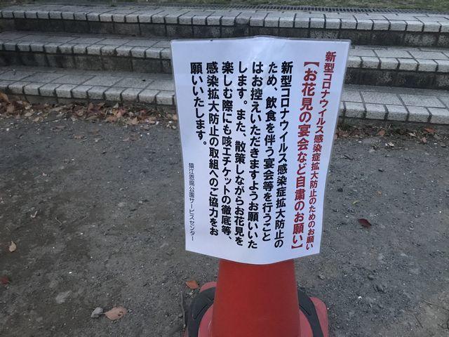 f:id:akizo_da:20200328173426j:plain