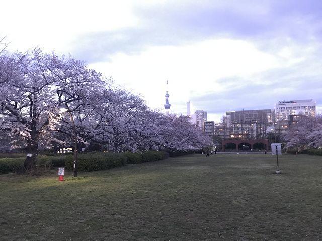 f:id:akizo_da:20200328173449j:plain