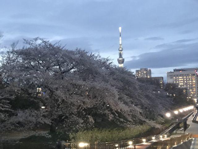 f:id:akizo_da:20200328173651j:plain