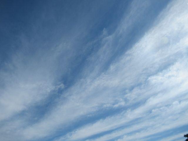 f:id:akizo_da:20200725085040j:plain f:id:akizo_da:20200725085040j:plain