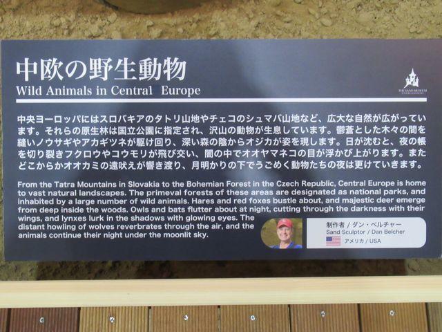 f:id:akizo_da:20200725091307j:plain f:id:akizo_da:20200725091307j:plain