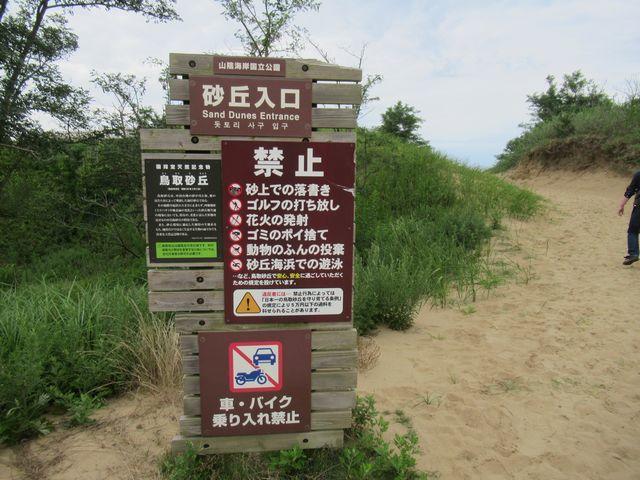 f:id:akizo_da:20200725092221j:plain f:id:akizo_da:20200725092221j:plain