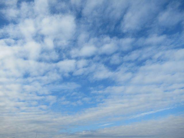 f:id:akizo_da:20201206214730j:plain