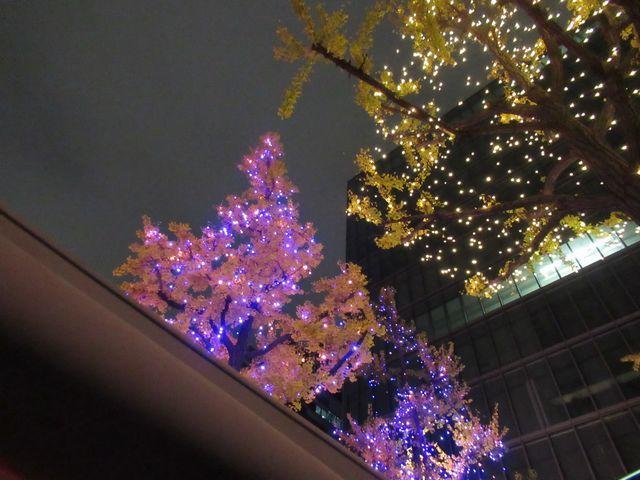 f:id:akizo_da:20201213112159j:plain