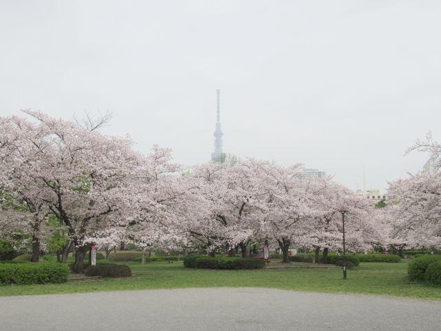 f:id:akizo_da:20210403171747j:plain