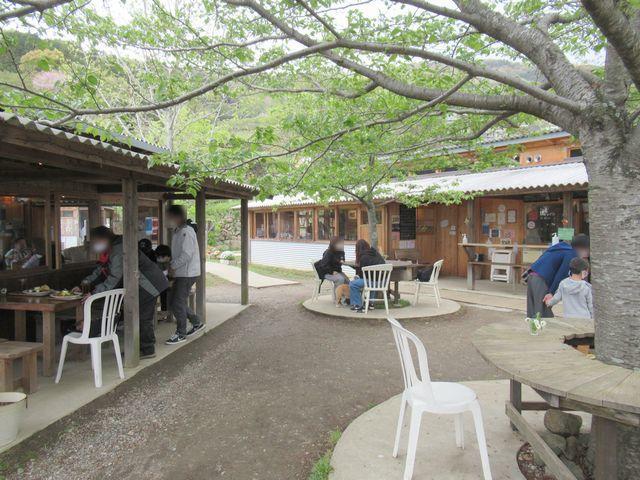 f:id:akizo_da:20210418202455j:plain