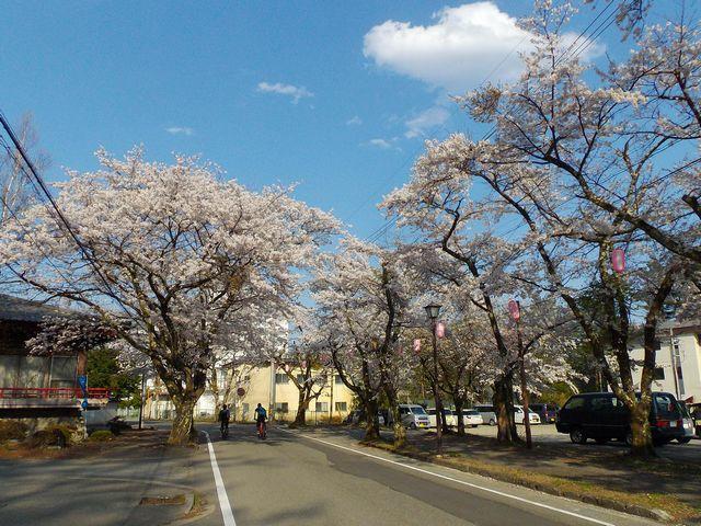 f:id:akizo_da:20210815235445j:plain