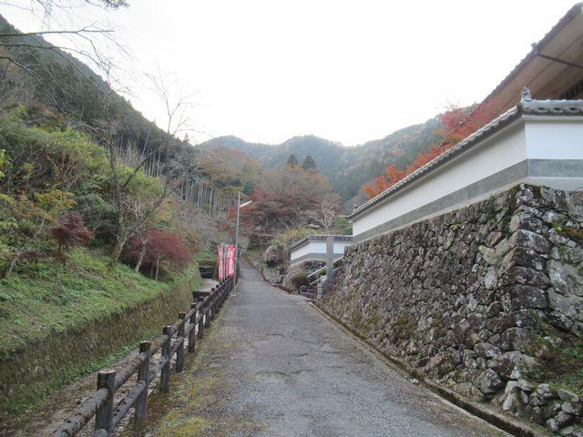 f:id:akizo_da:20211116185226j:plain