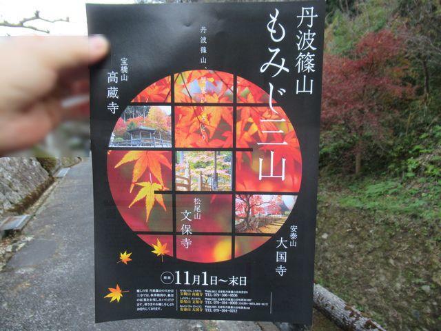 f:id:akizo_da:20211116185229j:plain