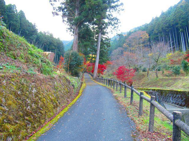 f:id:akizo_da:20211116185231j:plain