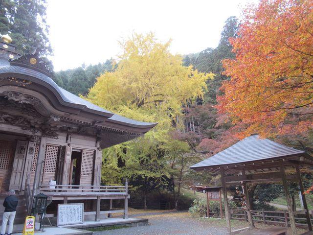 f:id:akizo_da:20211116185234j:plain
