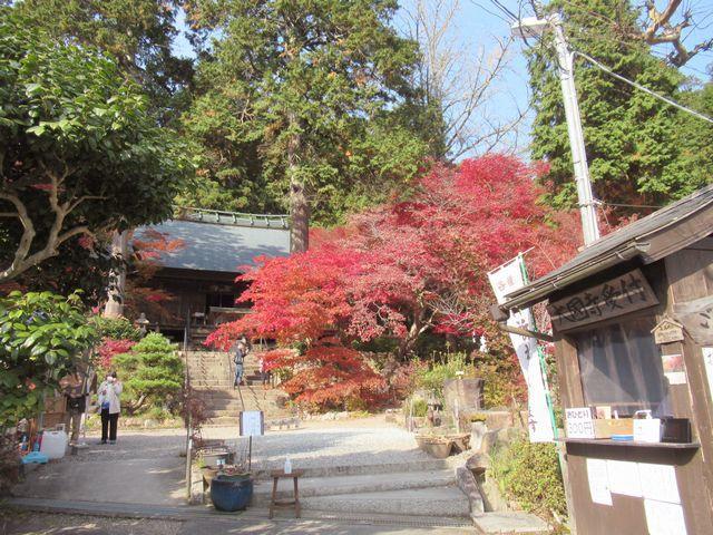 f:id:akizo_da:20211116185251j:plain