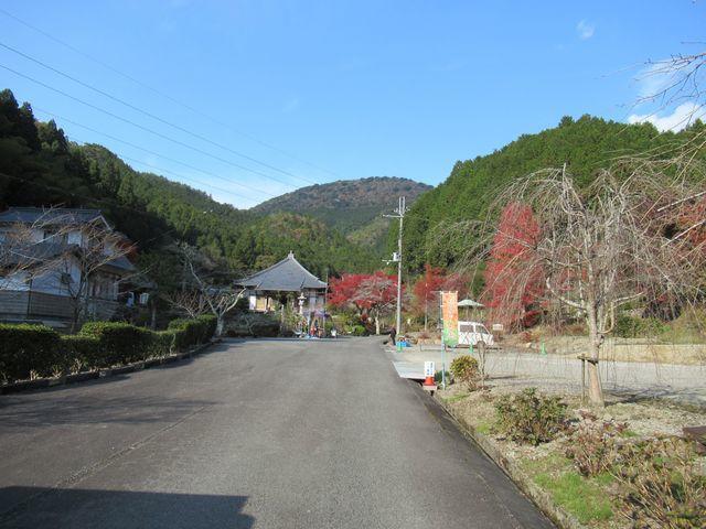 f:id:akizo_da:20211116185301j:plain