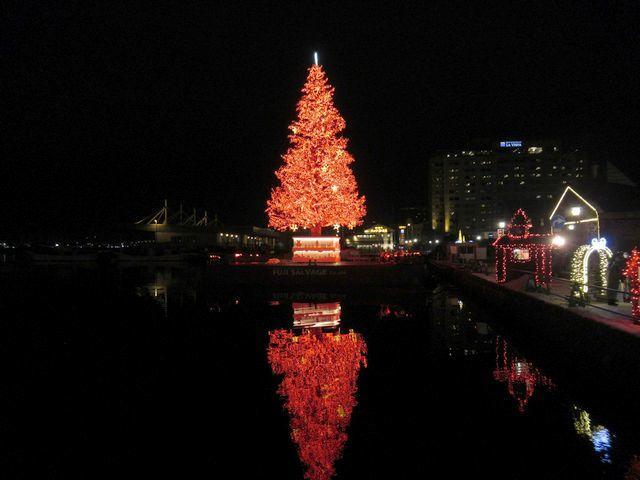 f:id:akizo_da:20211223231745j:plain